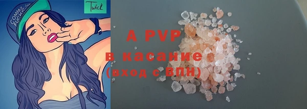 стафф Алзамай