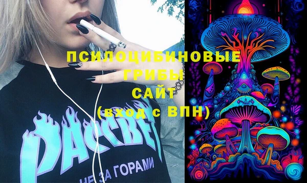 стафф Алзамай