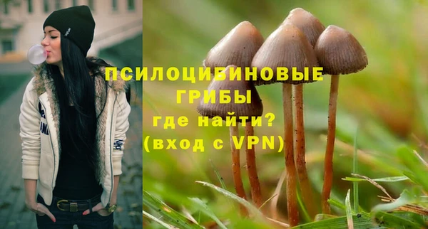 мяу мяу мука Алексин