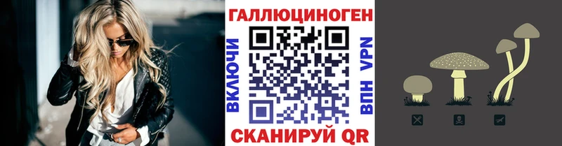 где купить наркотик Солнечногорск Псилоцибиновые грибы мухоморы